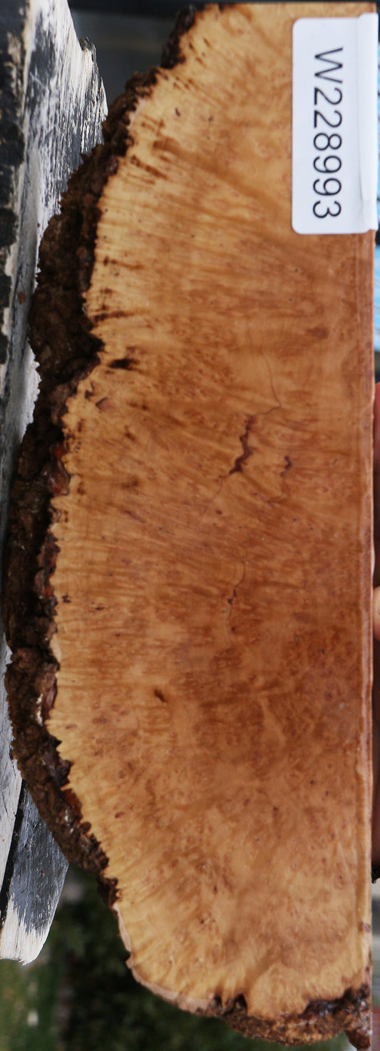 Kanista Burl Live Edge Lumber