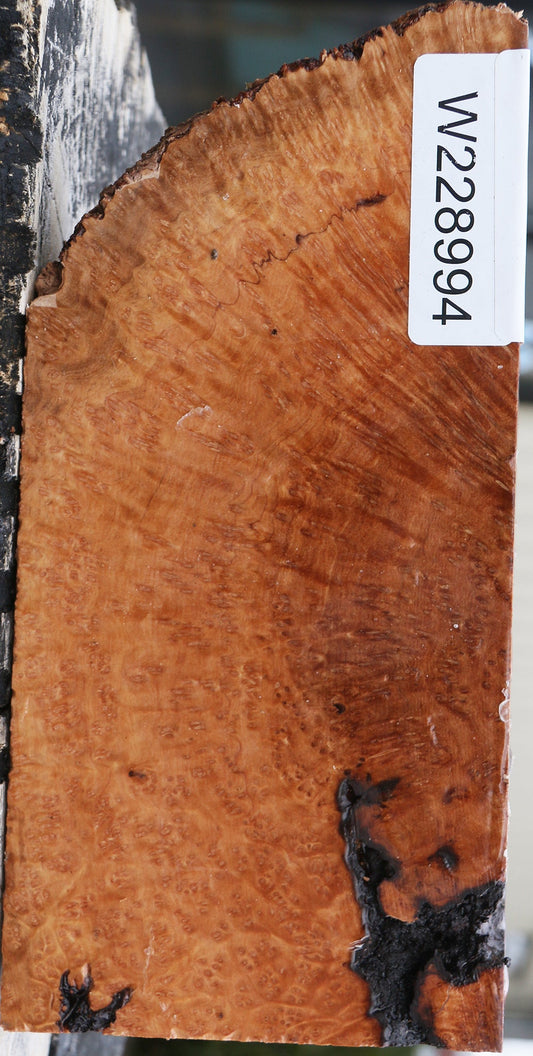 Kanista Burl Lumber