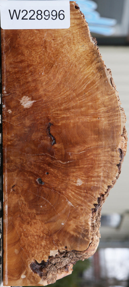 Kanista Burl Live Edge Lumber