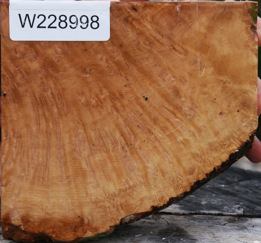 Kanista Burl Live Edge Bowl Blank