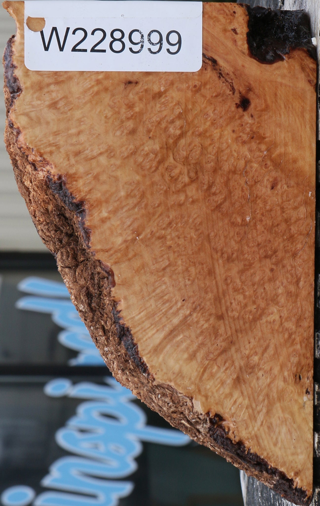 Kanista Burl Live Edge Turning Blank