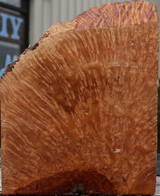 Kanista Burl Live Edge Bowl Blank
