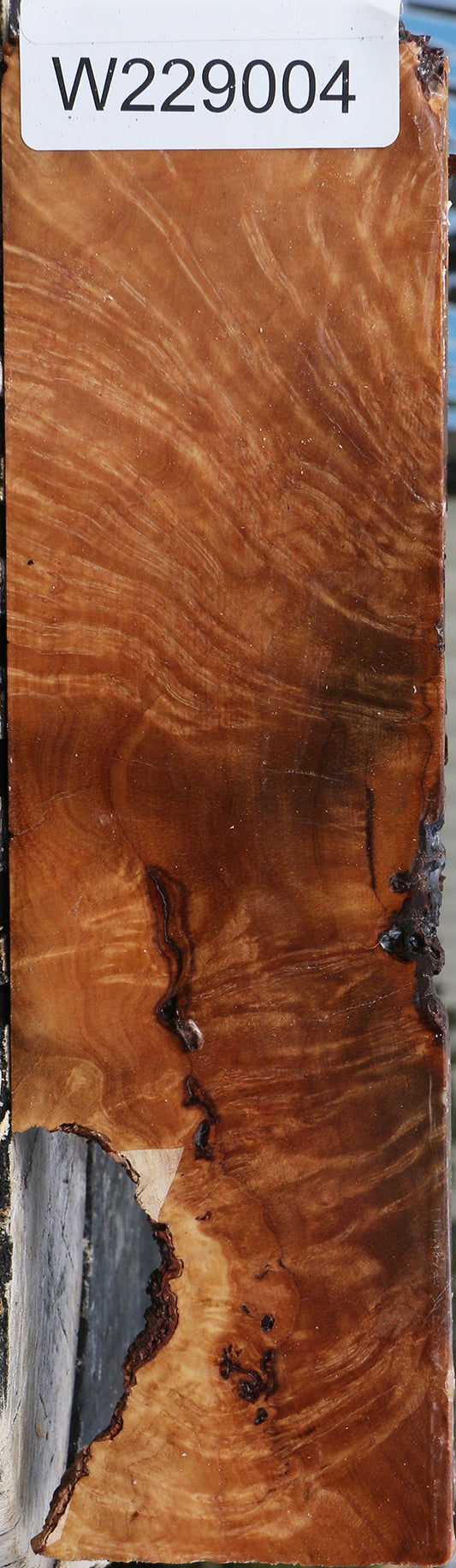 Kanista Burl Lumber