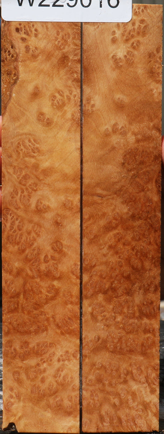 Extra Fancy Kanista Burl Knife Scales