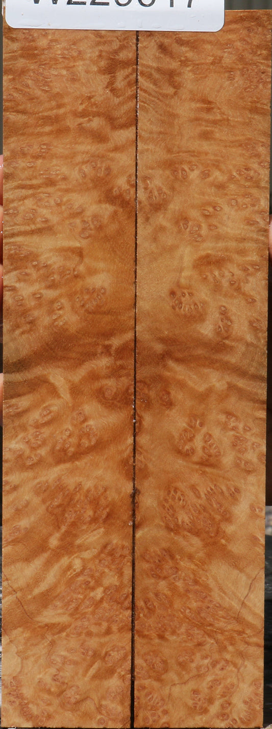 Kanista Burl Knife Scales
