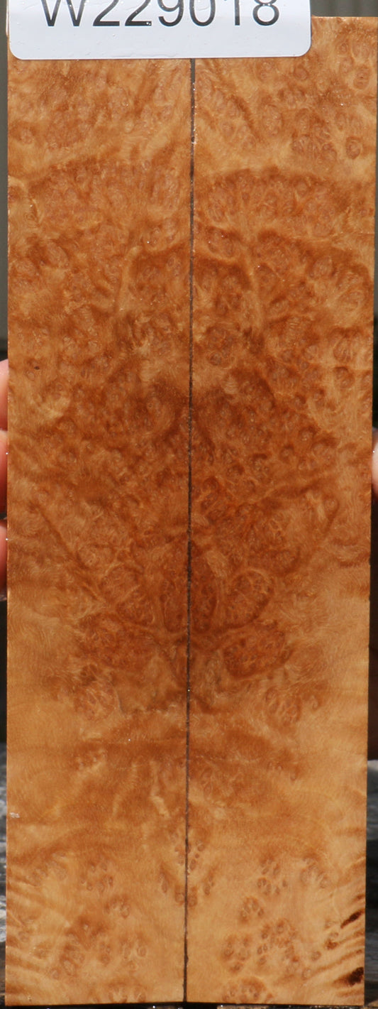 Extra Fancy Kanista Burl Knife Scales