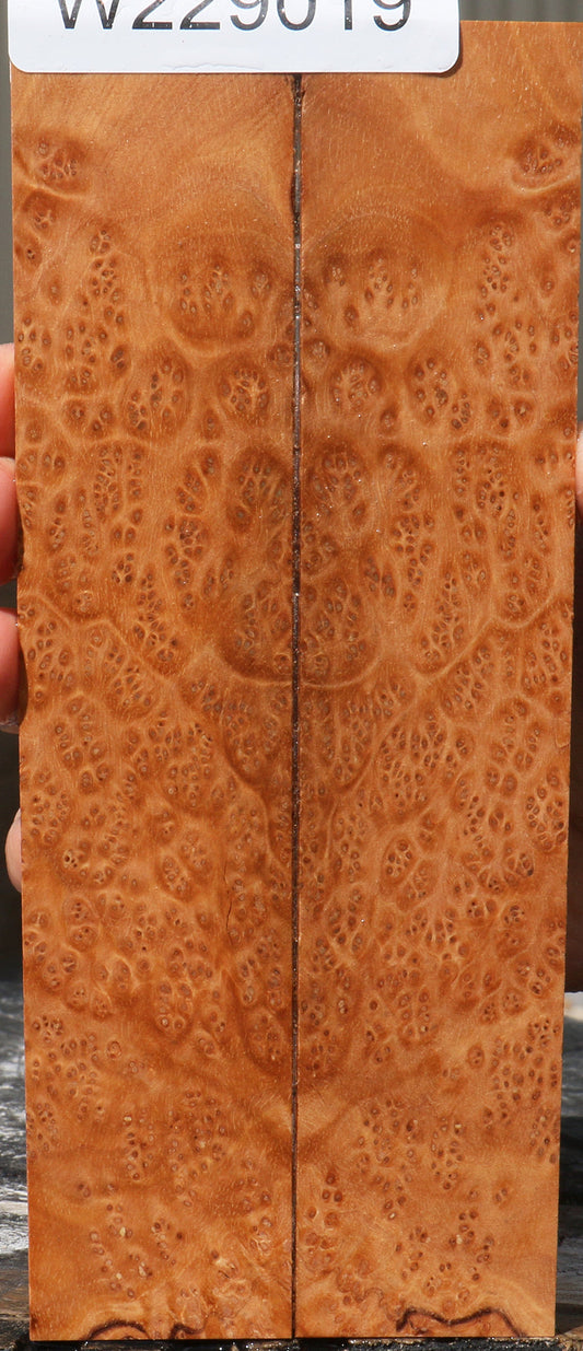 Extra Fancy Kanista Burl Knife Scales