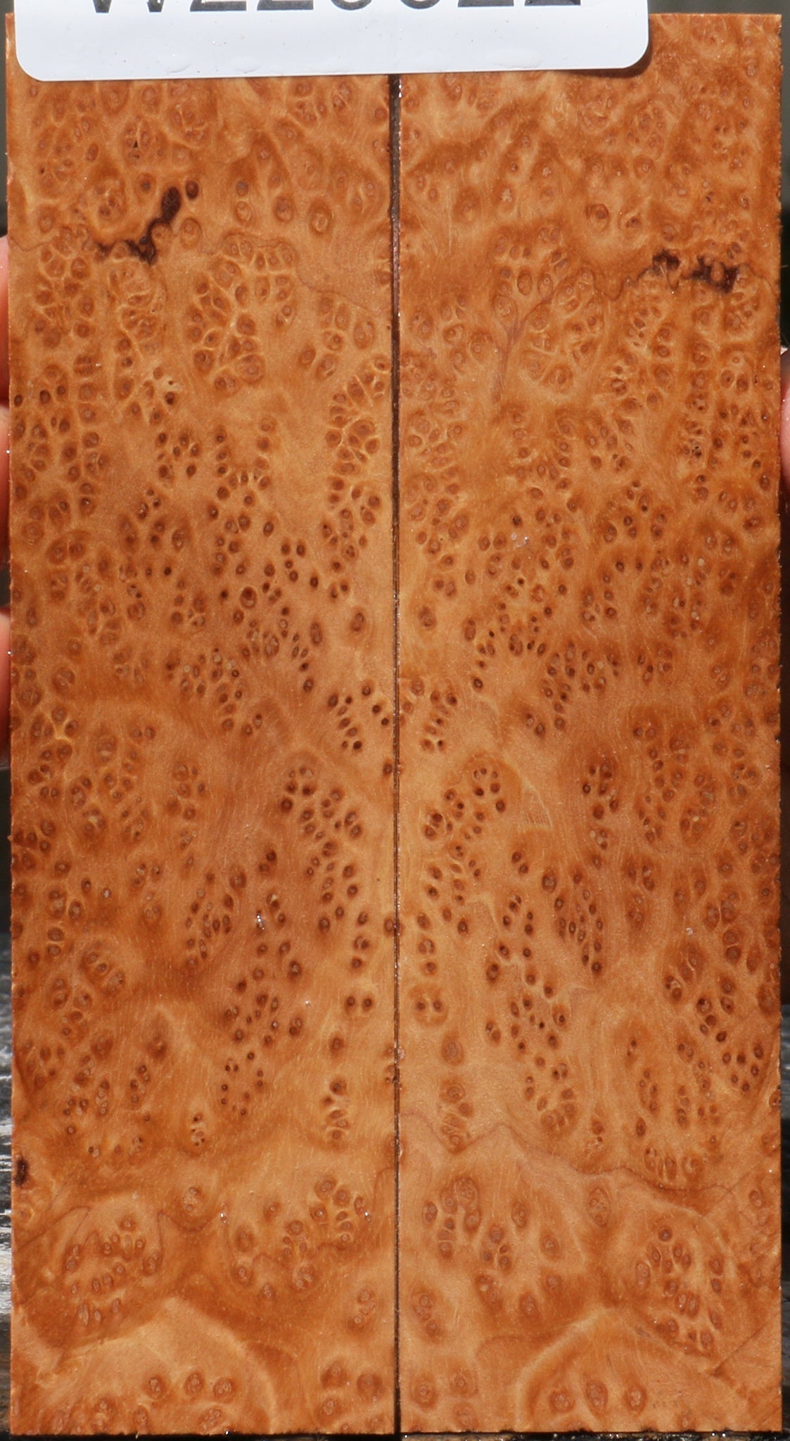 Kanista Burl Knife Scales