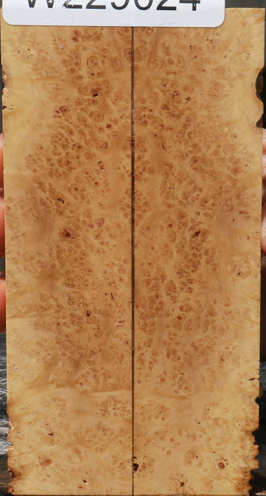 Extra Fancy Kanista Burl Knife Scales