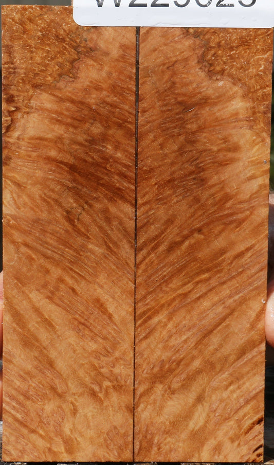 Extra Fancy Kanista Burl Knife Scales