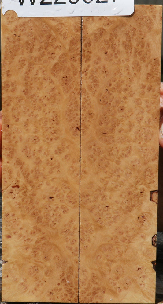 Kanista Burl Knife Scales