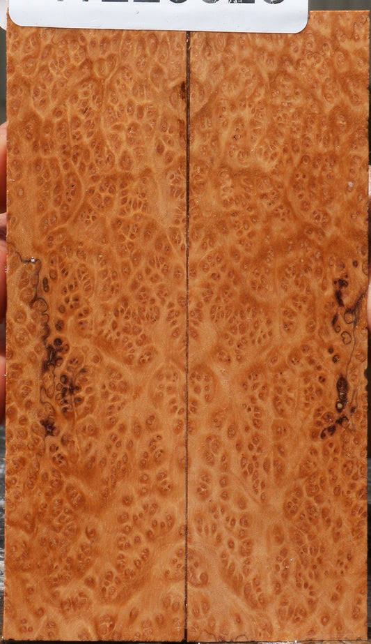 Kanista Burl Knife Scales