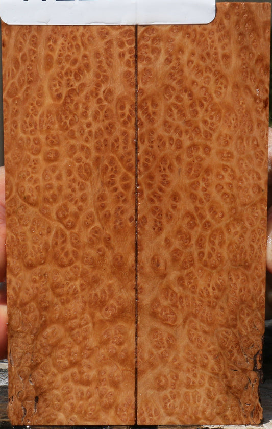 Kanista Burl Knife Scales