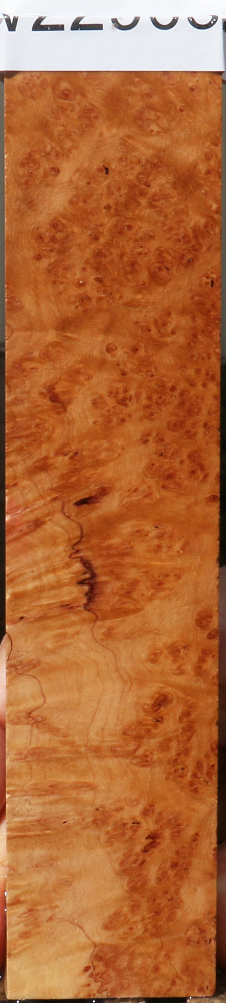 Kanista Burl Knife Blank