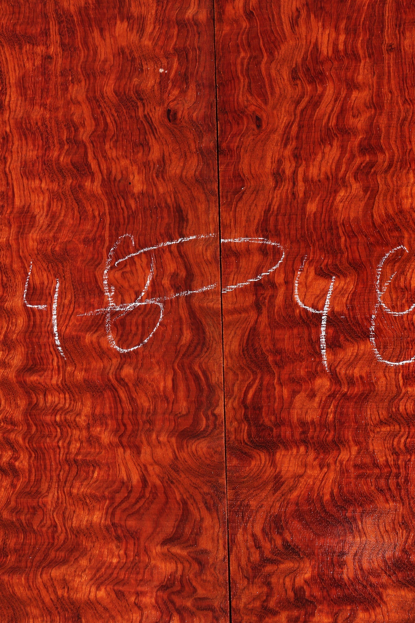 ギター Bogner harlow Bubinga Wood Finish BOGNER HARLOW / BUBINGA WOOD FINISH 送料無料 | Sound House