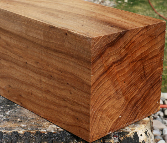 Elm Vessel Blank