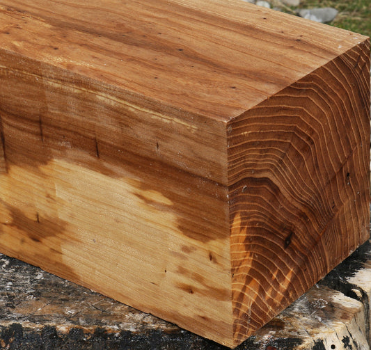 Elm Vessel Blank