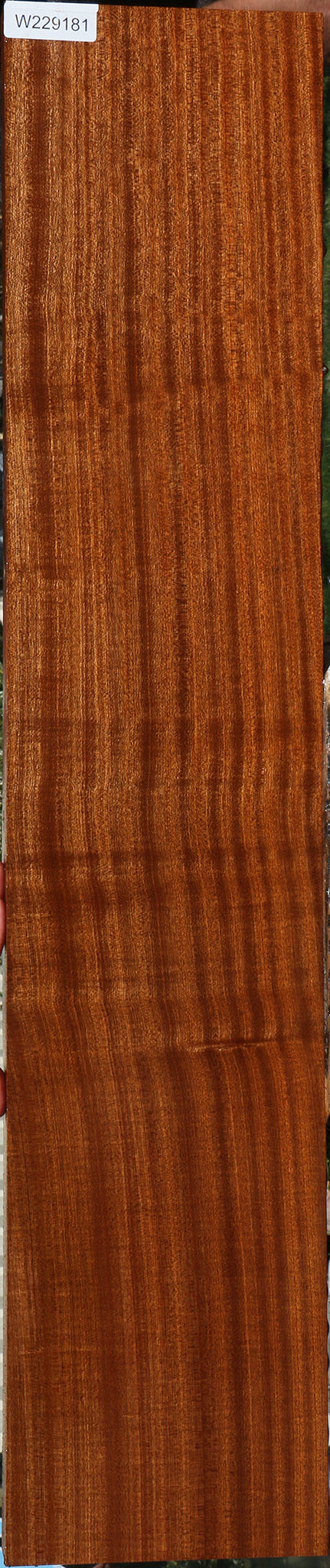 Extra Fancy Quartersawn Sapele Lumber