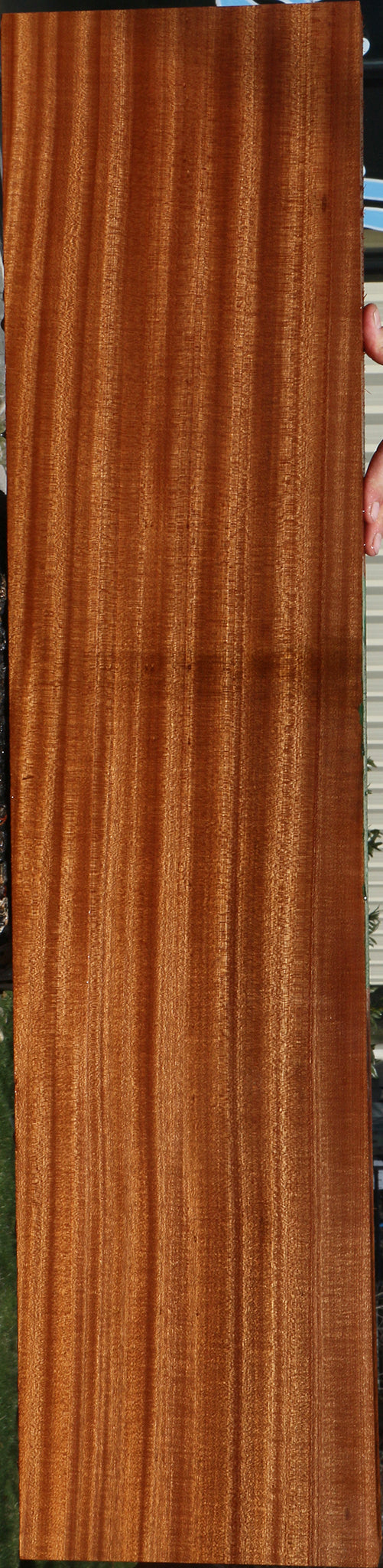 Extra Fancy Sapele Lumber