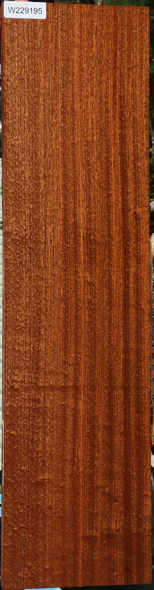 Extra Fancy Sapele Lumber