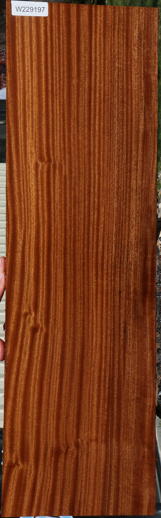 Extra Fancy Quartersawn Sapele Lumber