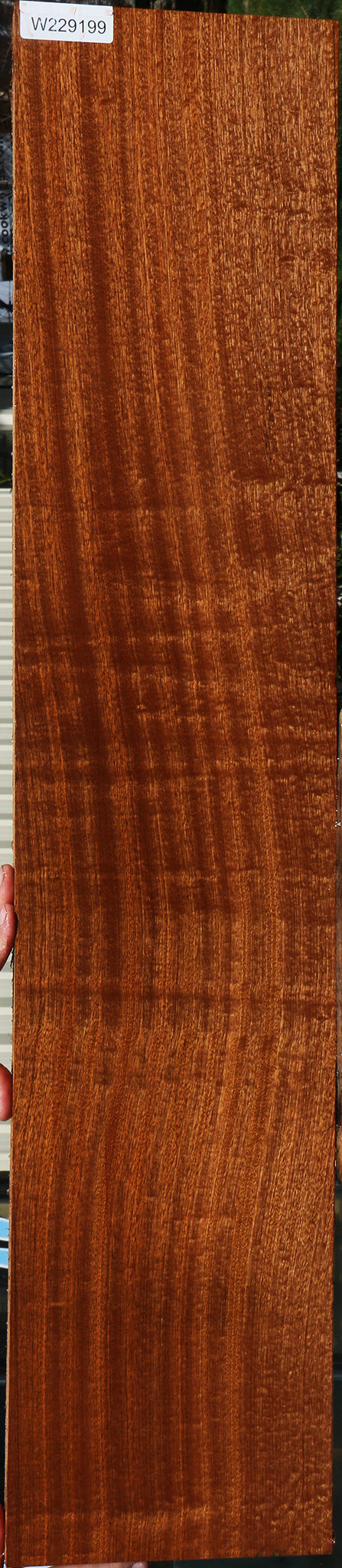 Extra Fancy Sapele Lumber
