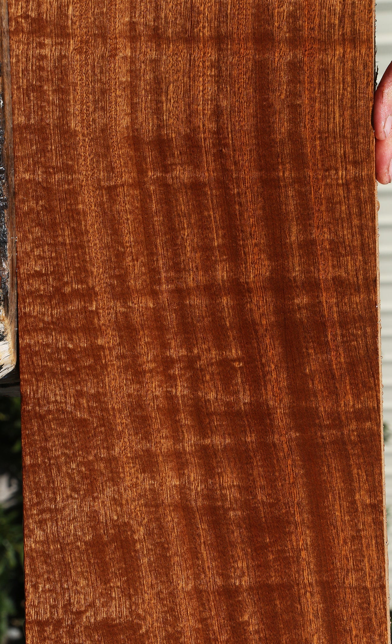 Extra Fancy Sapele Lumber