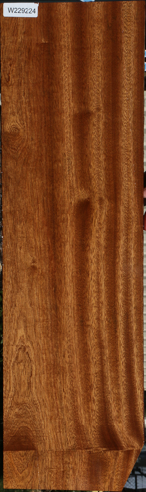 Sapele Lumber