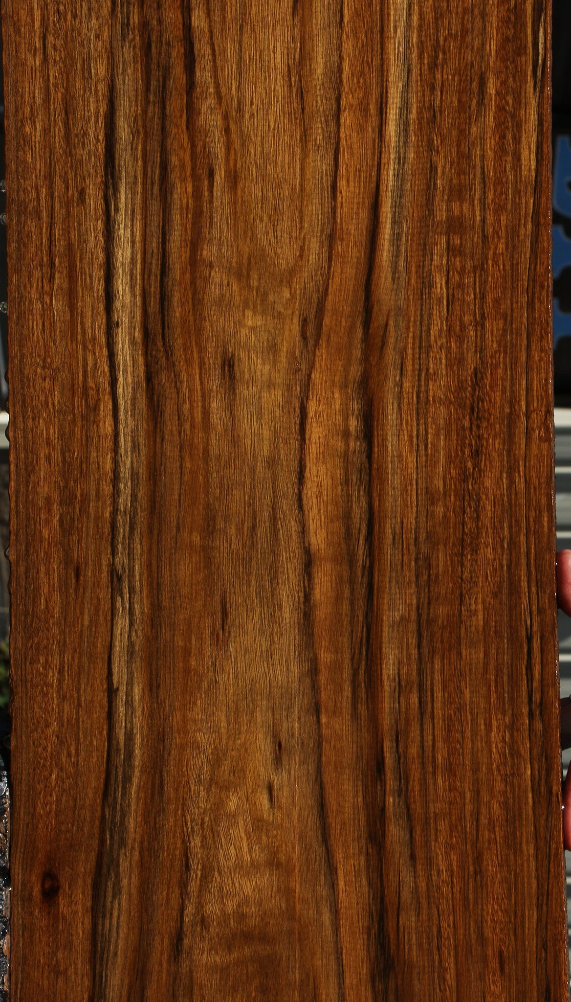 Figured Amazique Lumber