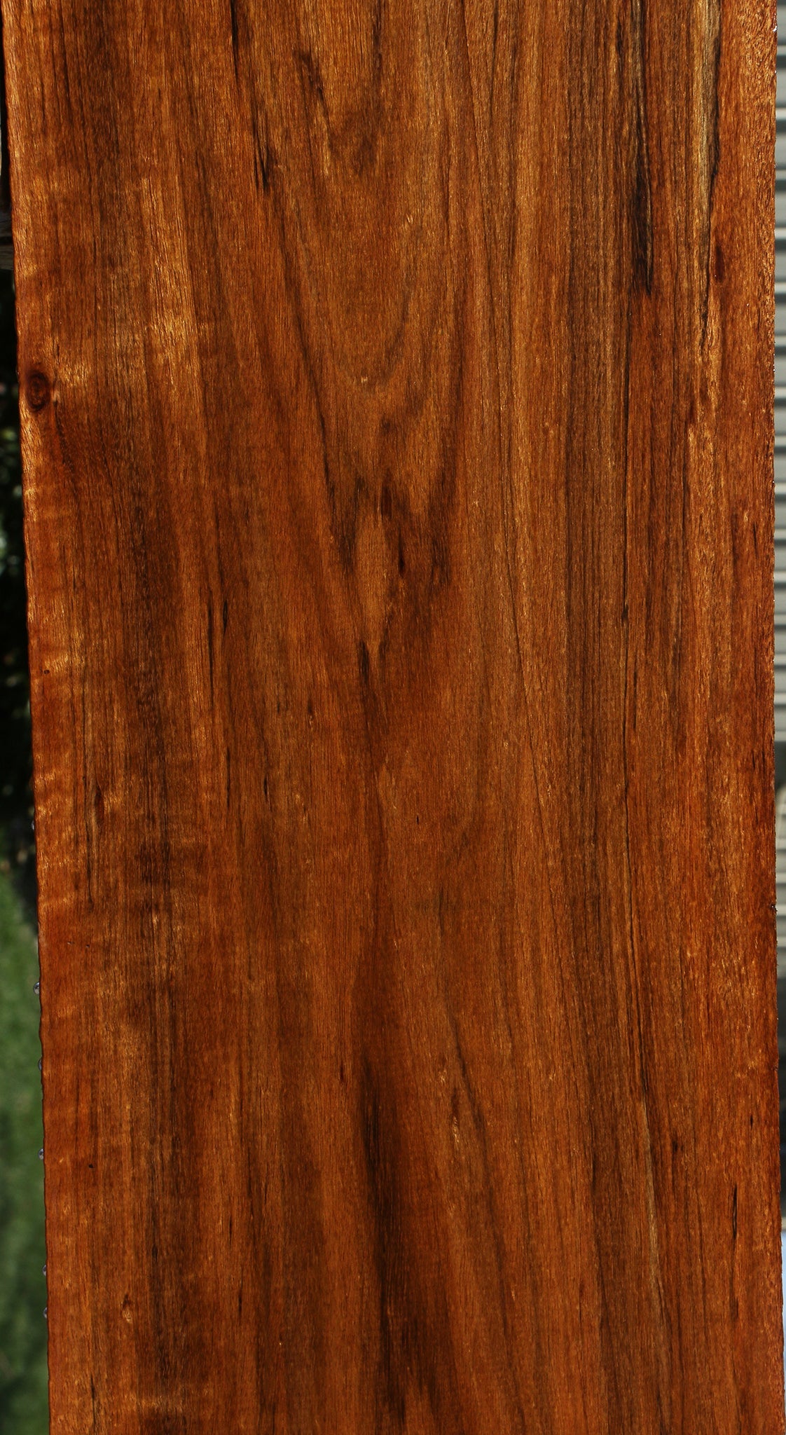 Figured Amazique Lumber