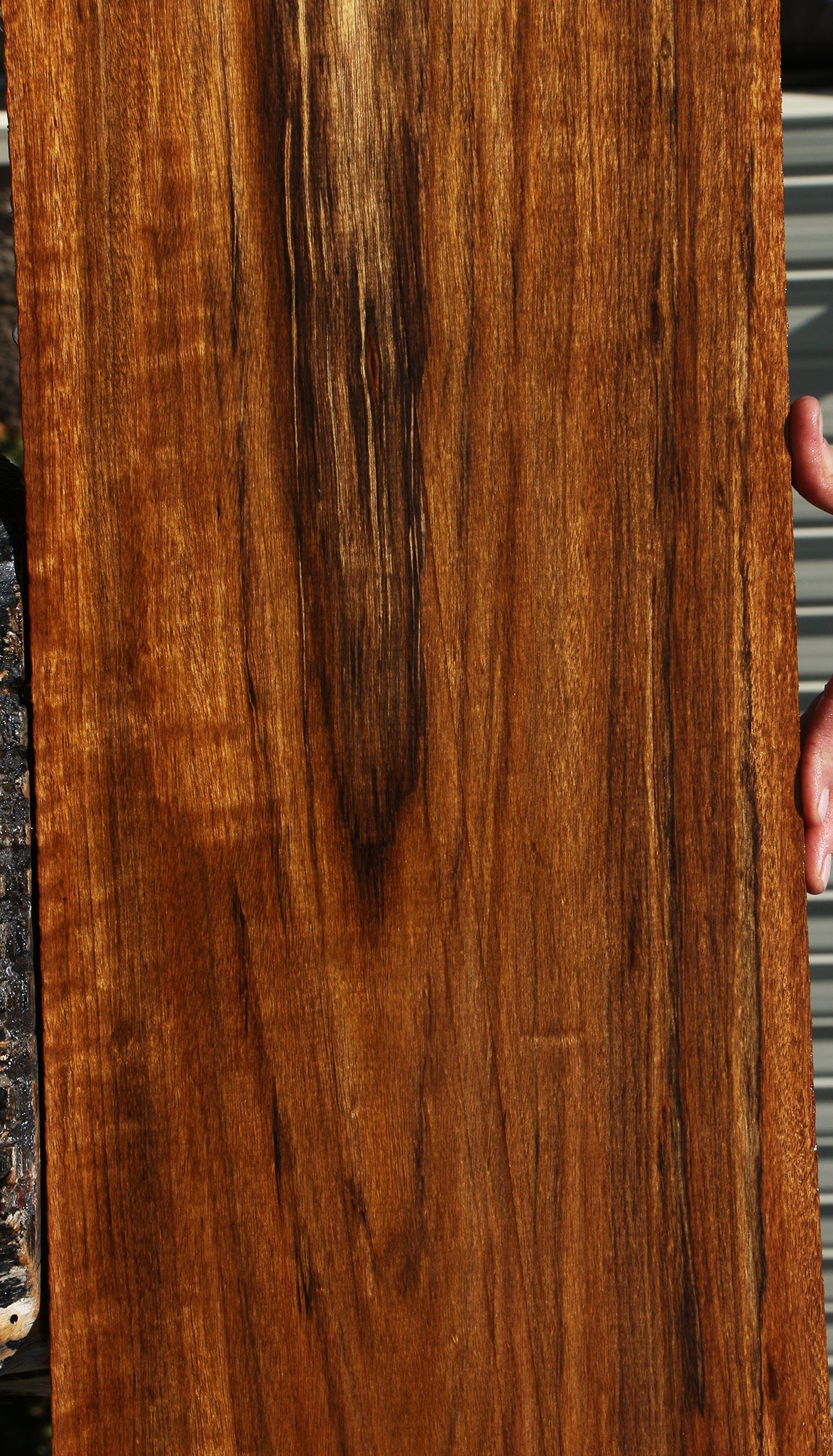 Figured Amazique Lumber