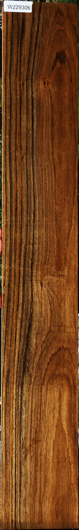 Figured Amazique Lumber