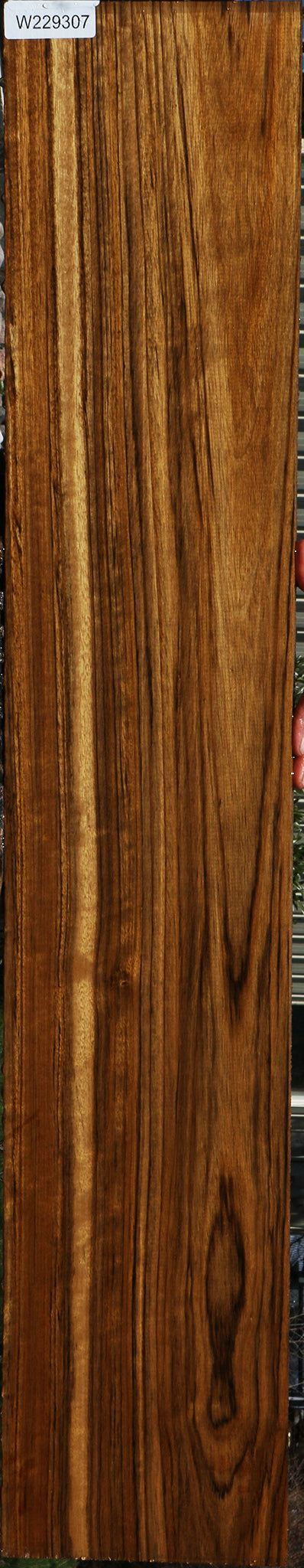 Figured Amazique Lumber