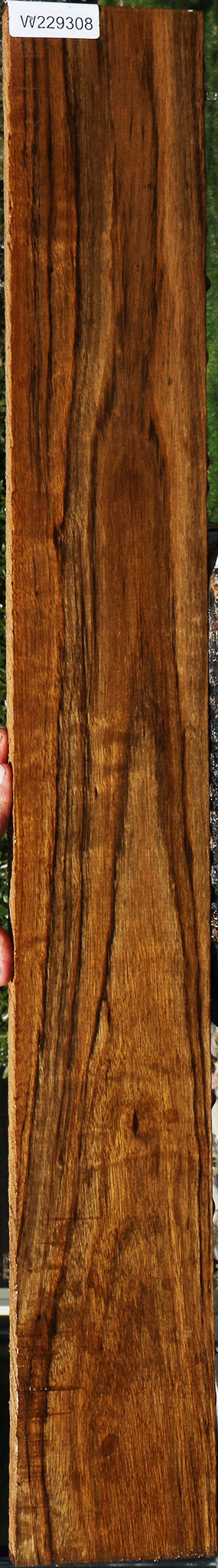 Figured Amazique Lumber