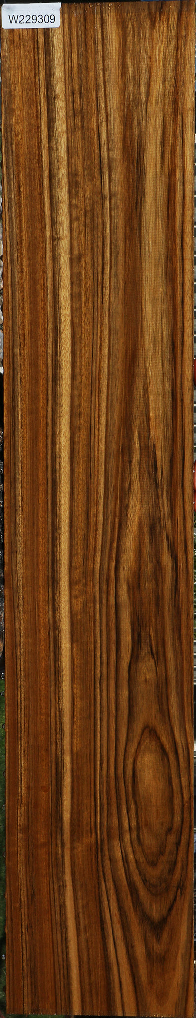 Figured Amazique Lumber