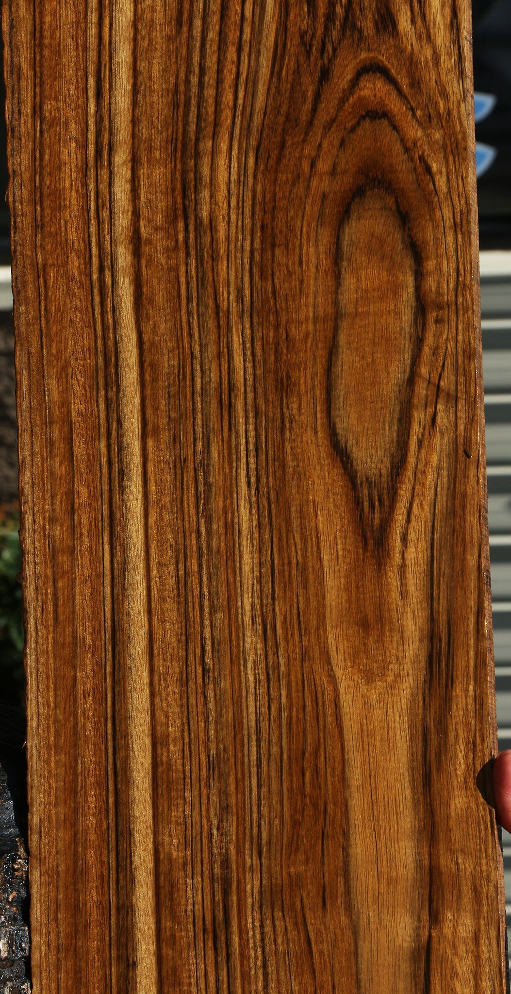 Figured Amazique Lumber