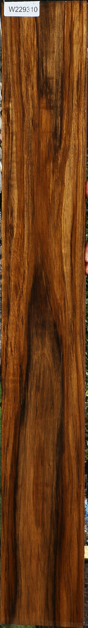 Amazique Lumber