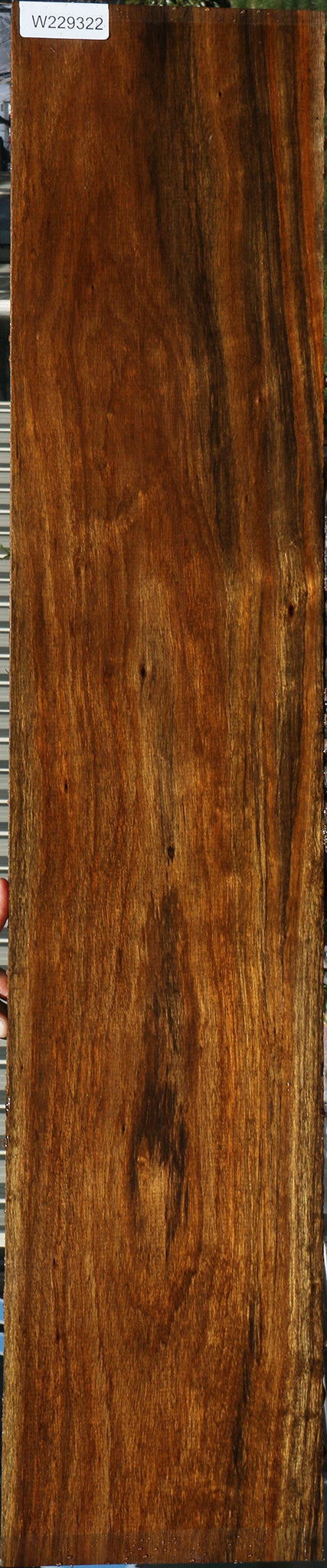 Figured Amazique Lumber