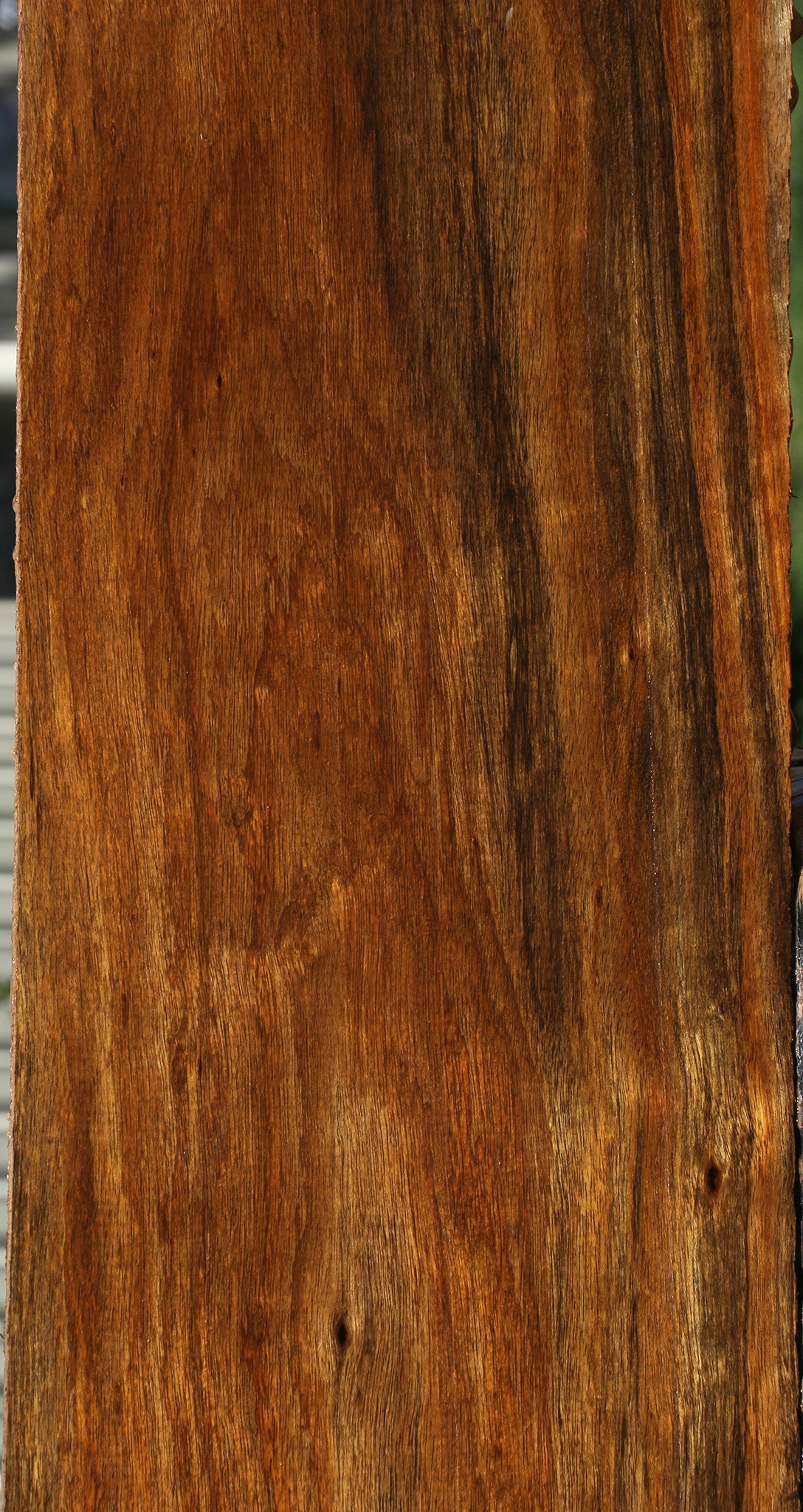 Figured Amazique Lumber