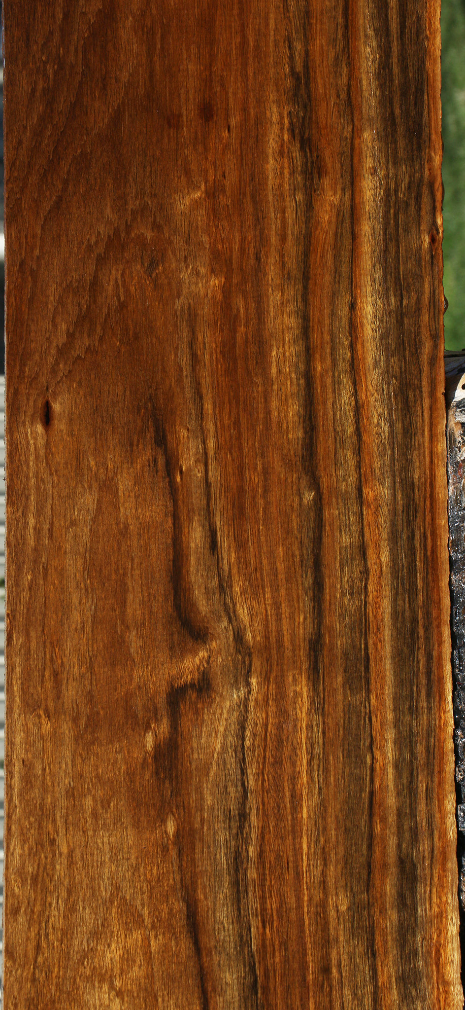 Figured Amazique Lumber