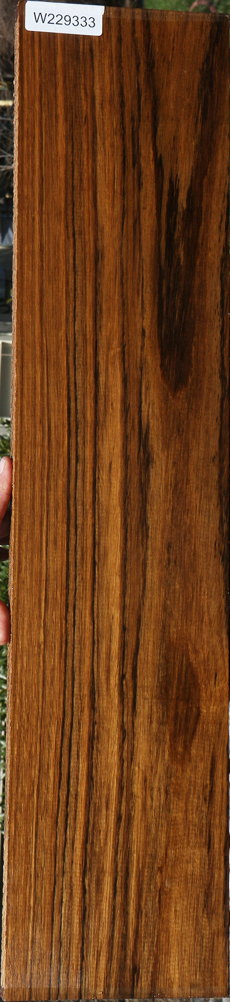 Figured Amazique Lumber