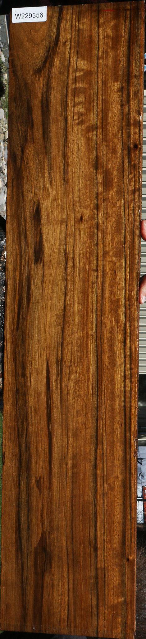 Figured Amazique Lumber