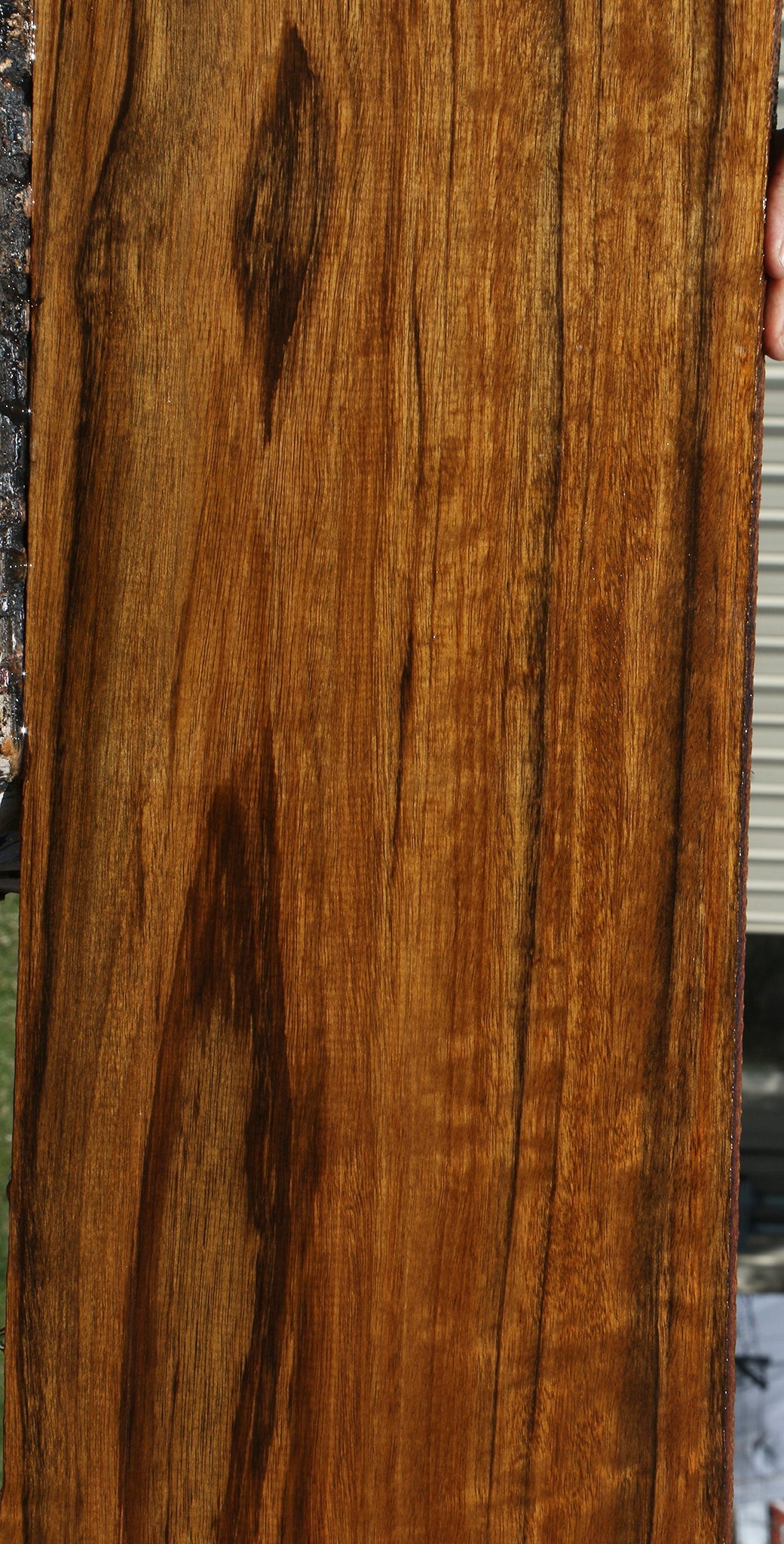 Amazique Lumber