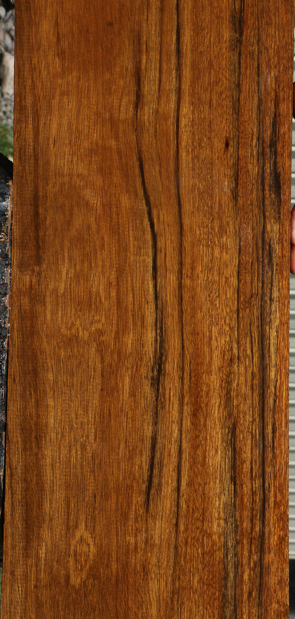 Amazique Lumber – Cook Woods