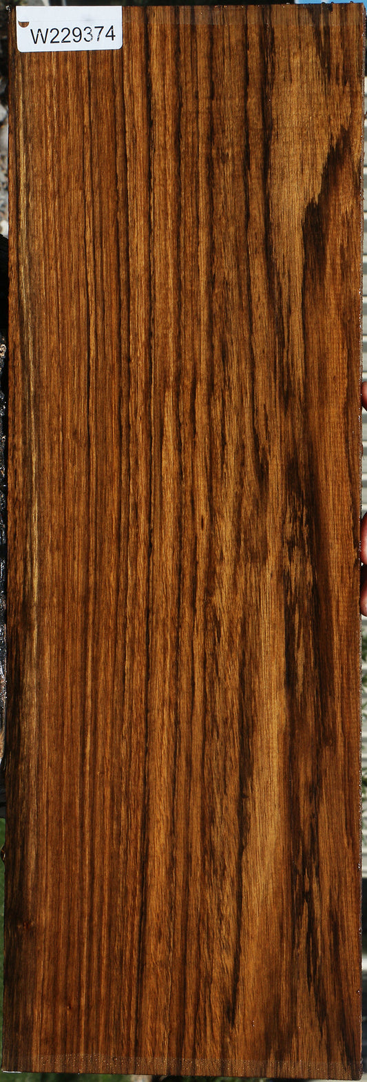 Figured Amazique Lumber