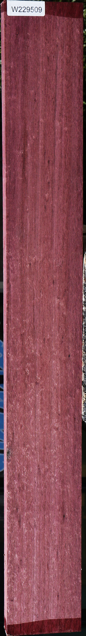 Extra Fancy Purpleheart Lumber