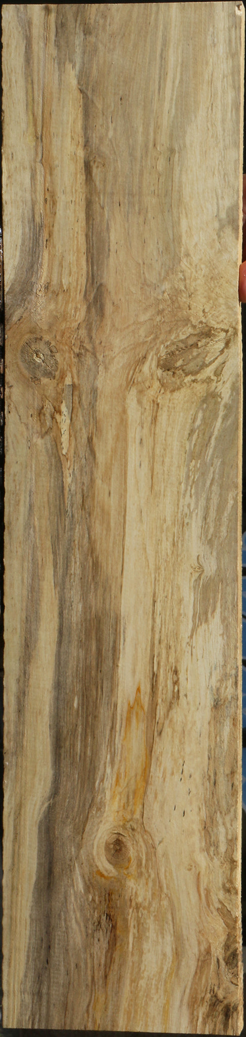 Spalted Holly Lumber