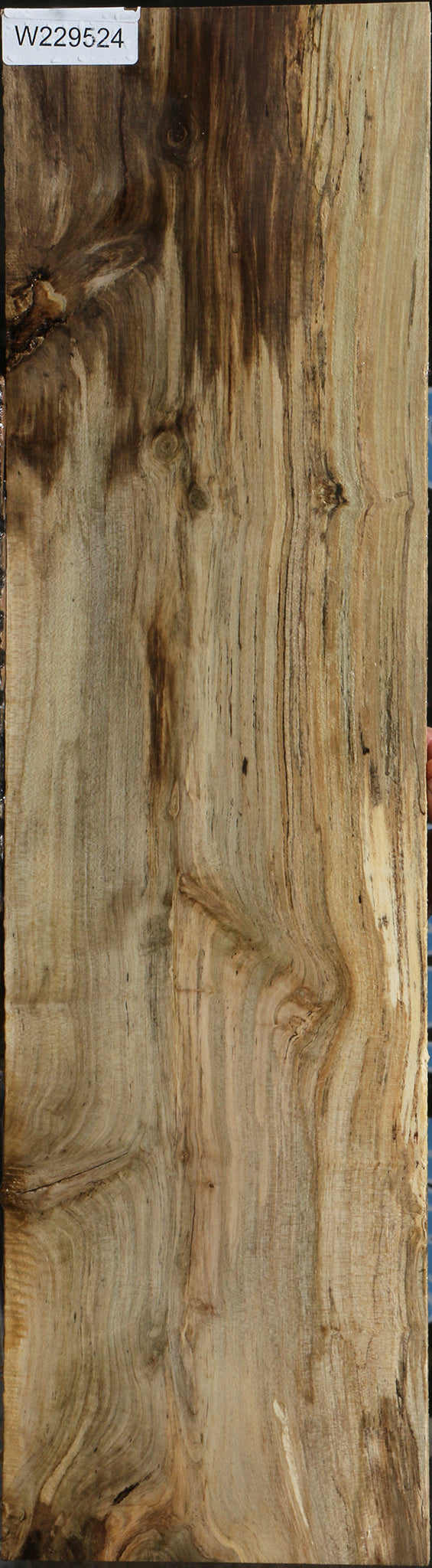 Spalted Holly Lumber
