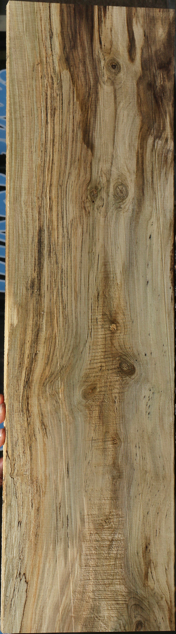Spalted Holly Lumber