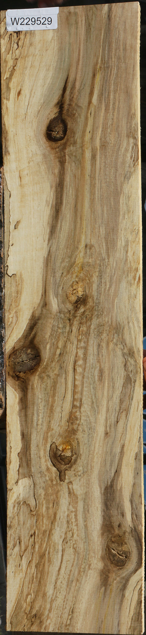 Spalted Holly Lumber